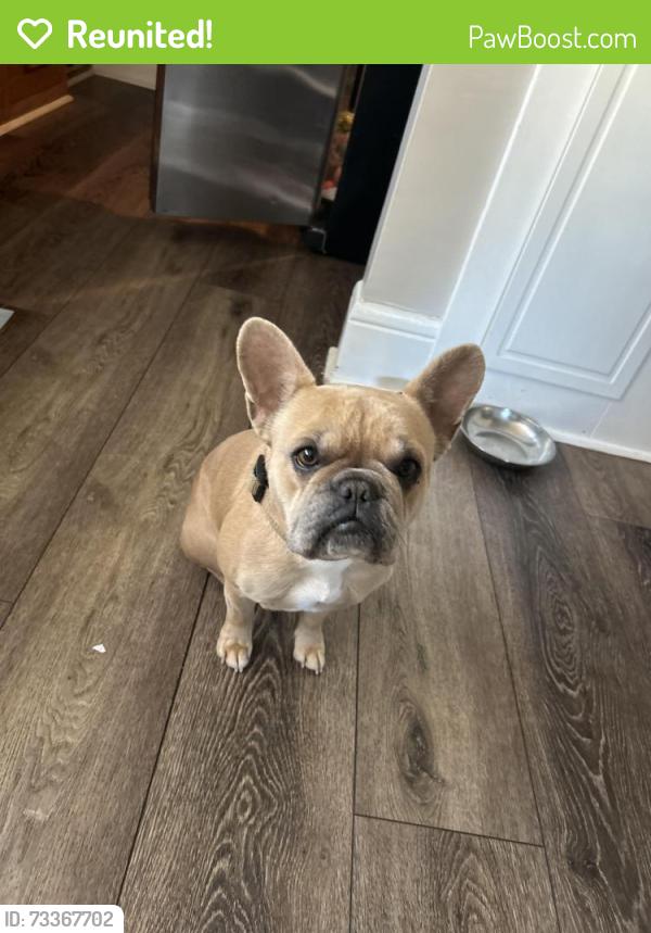 Reunited Male Dog last seen Victory Park, Stockton, CA 95203
