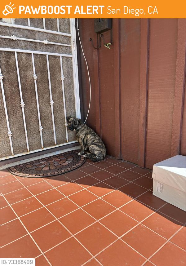Found/Stray Unknown Dog last seen Keen Drive, San Diego, CA 92139