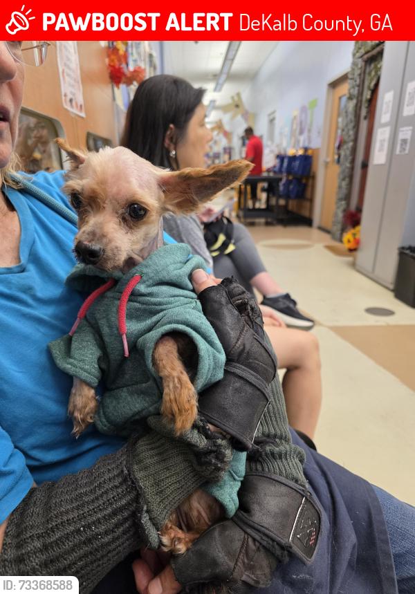 Lost Female Dog last seen Dekalb County animal shelters, DeKalb County, GA 30021