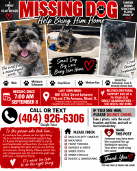 Lost Male Dog last seen Near NW 103rd Street between 17th and 27th Avenues, Miami, FL, Miami, FL 33147