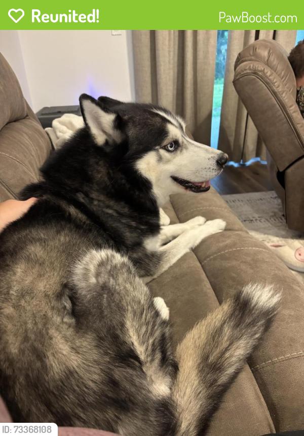 Reunited Male Dog last seen San fillipo north of Waco, Palm Bay, FL 32905