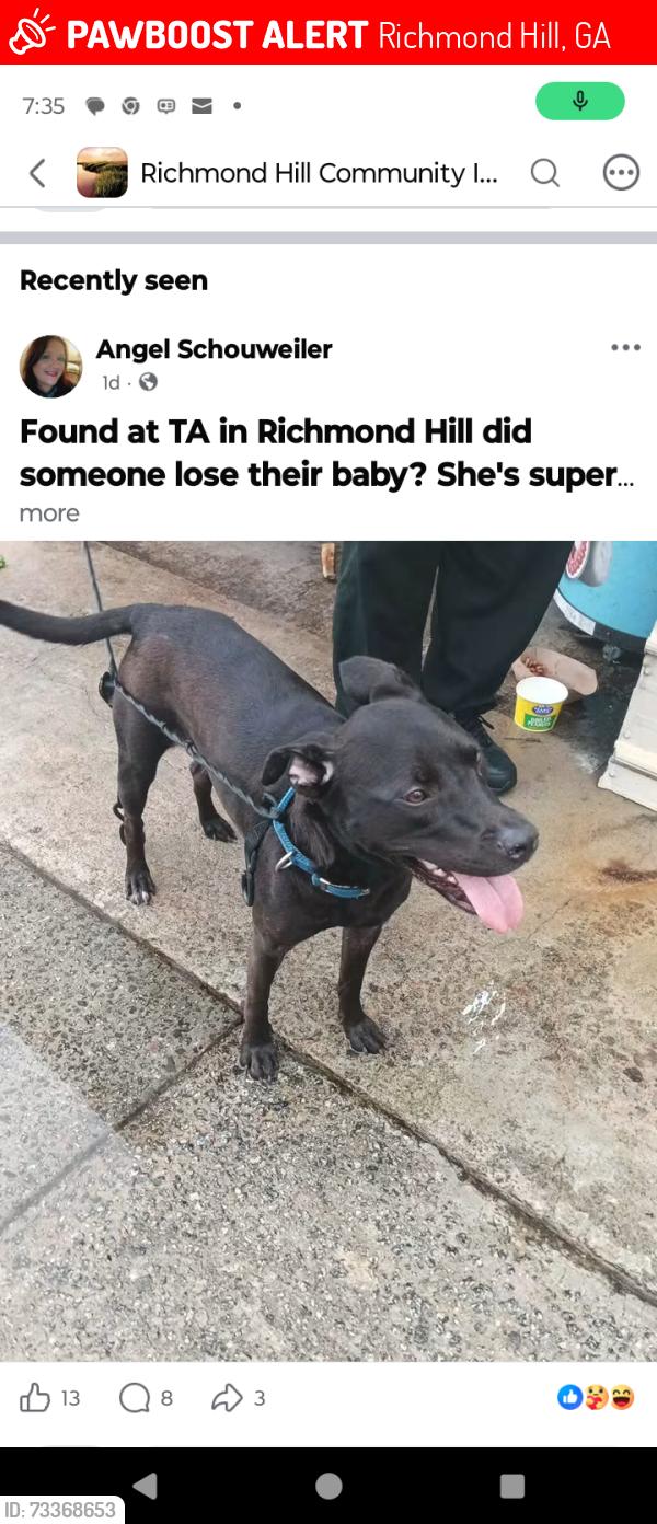 Lost Female Dog last seen Harris trail Rd and hwy 17, Richmond Hill, GA 31419