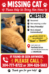 Lost Male Cat last seen Fairfield rd & Chesterfield rd, Myrtle Grove, FL 32506