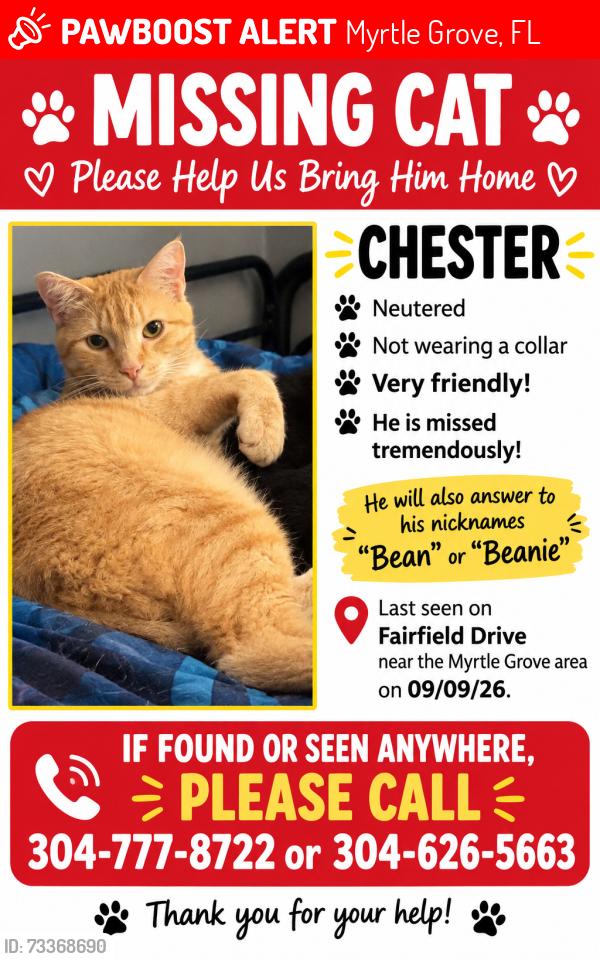 Lost Male Cat last seen Fairfield rd & Chesterfield rd, Myrtle Grove, FL 32506