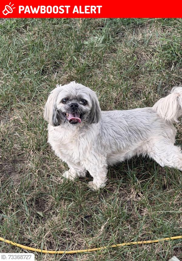 Lost Male Dog last seen Enon church, Chesterfield County, VA 23836