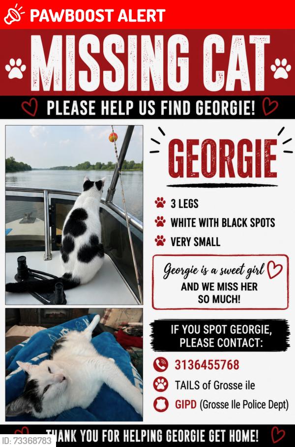 Lost Female Cat last seen Macomb & east river, Grosse Ile Township, MI 48138