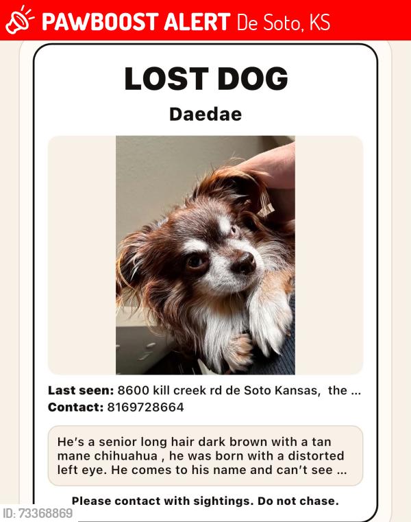 Lost Male Dog last seen Killcreek rd, De Soto, KS 66018