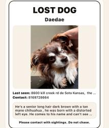 Lost Male Dog last seen Killcreek rd, De Soto, KS 66018