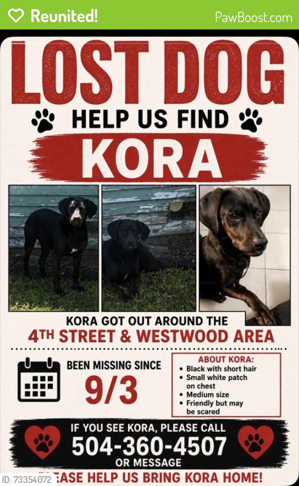 Reunited Female Dog last seen Francis St, Marrero, LA 70072, USA, Marrero, LA 70072