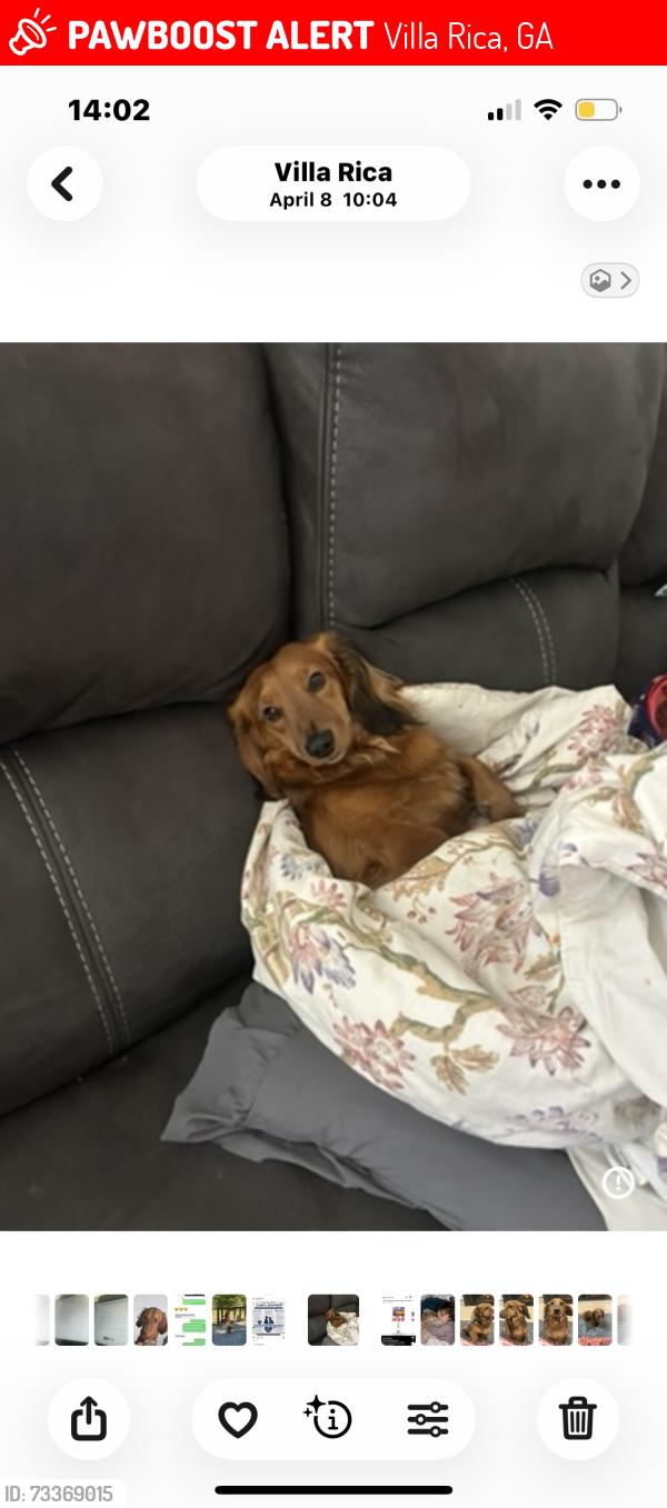 Lost Male Dog last seen S Van wert, Villa Rica, GA 30180