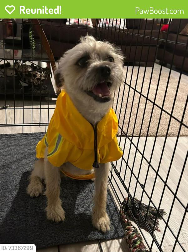 Reunited Male Dog last seen Near lincoln trace, San Antonio, TX 78222
