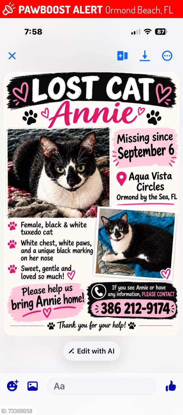 Lost Female Cat last seen Aqua vista, Ormond Beach, FL 32176