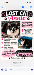 Lost Female Cat last seen Aqua vista, Ormond Beach, FL 32176