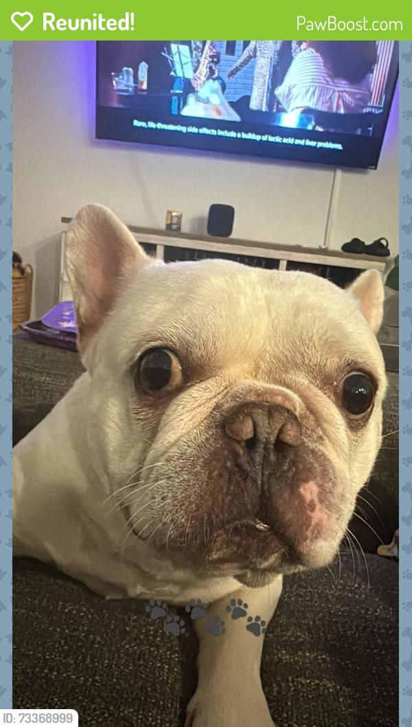 Reunited Male Dog last seen Near Silver Scallop Lp, Wimauma, FL 33598, USA, Wimauma, FL 33598