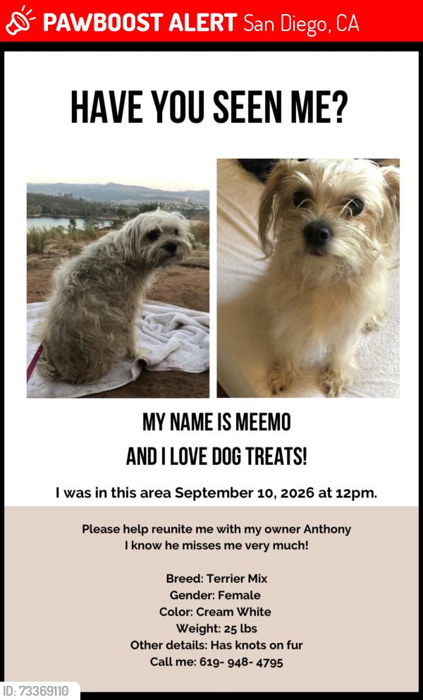 Lost Female Dog last seen Noeline Ave Spring Valley, Seven Eleven Worthington, Hanks Farmers Market, San Diego, CA 92114