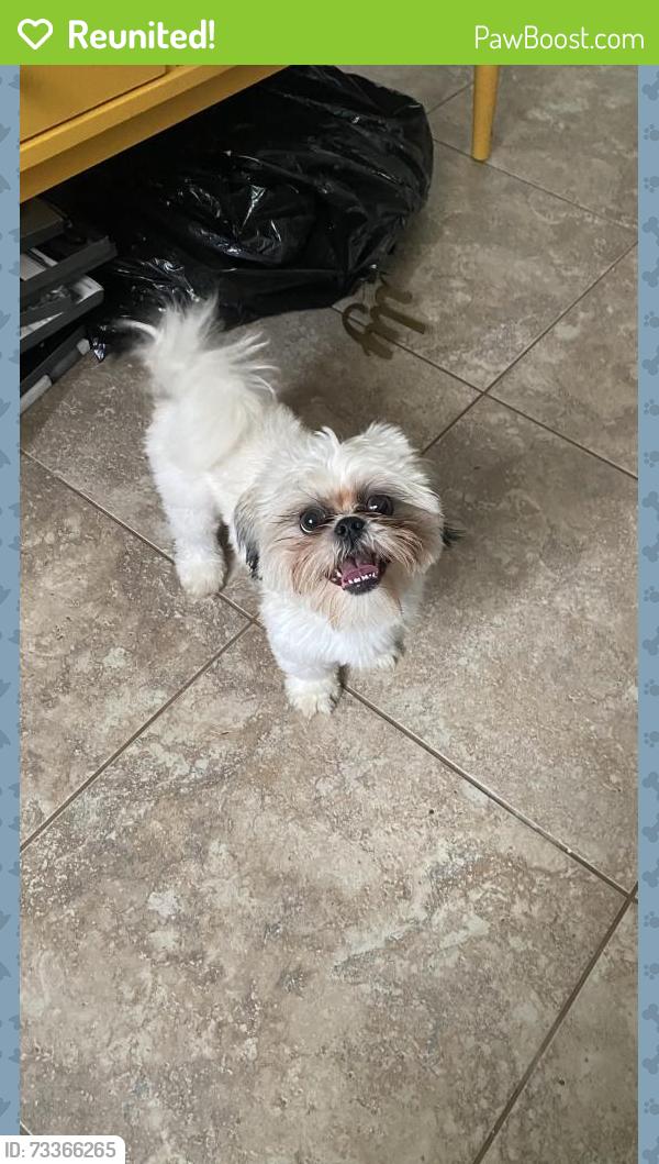 Reunited Male Dog last seen Marshbrook lane, Spring, TX 77389