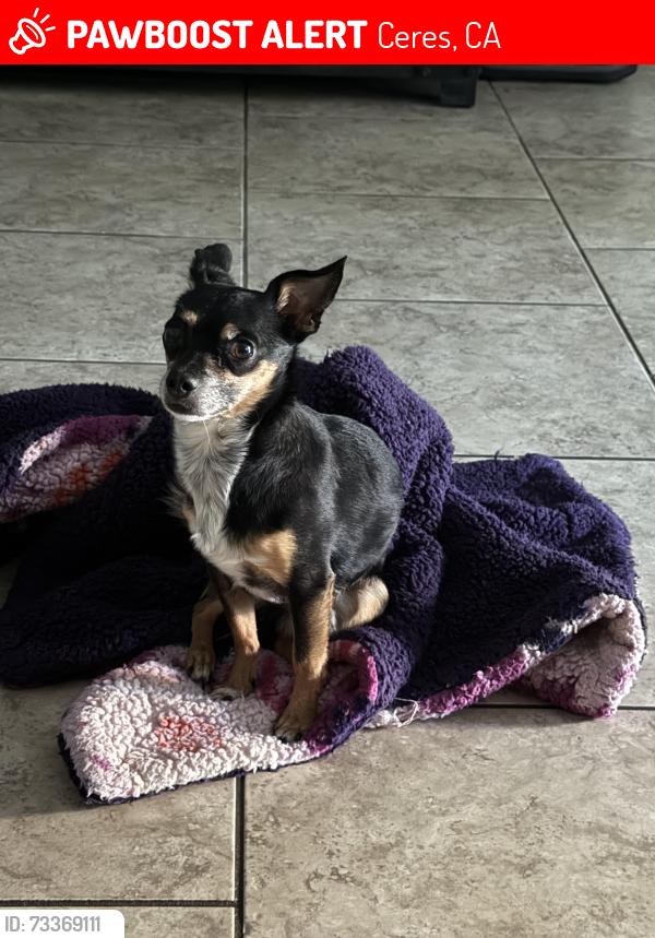 Lost Male Dog last seen Waynesboro and Boothe, Ceres, CA 95354
