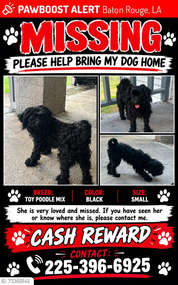 Lost Female Dog last seen Ardendale Oaks Apts, Baton Rouge, LA 70806