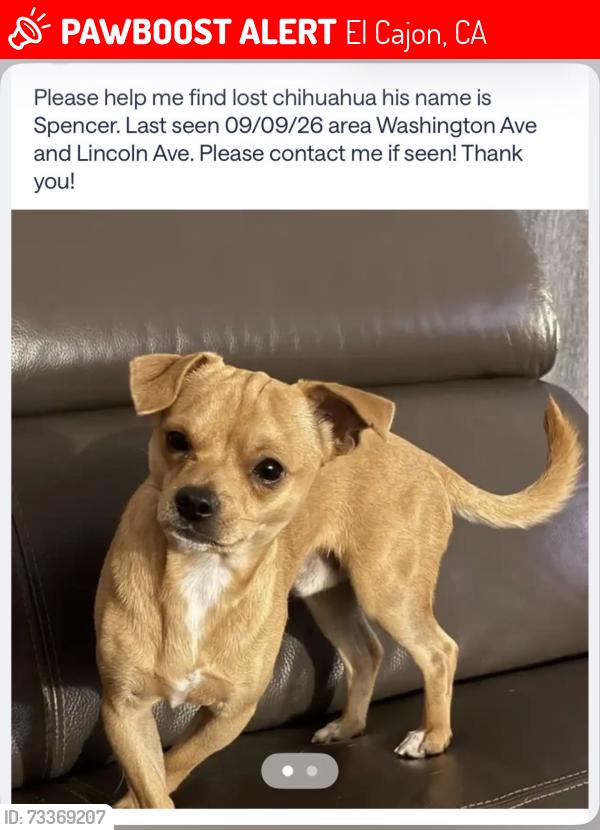 Lost Male Dog last seen Washington Ave and Lincoln Ave., El Cajon, CA 92020