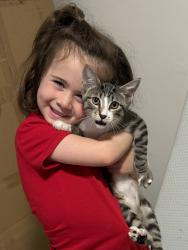 Reunited Male Cat last seen 63rd and May, Oklahoma City, OK 73116