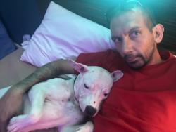 Lost Female Dog last seen Motel 6, Louisville, KY 40213