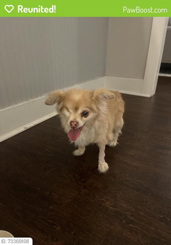 Reunited Female Dog last seen Walnut Creek neighborhood, Pinon Dr, Mansfield, TX 76063