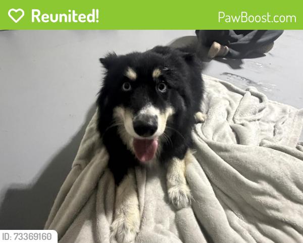 Reunited Unknown Dog last seen Car wash, Cape Coral, FL 33909