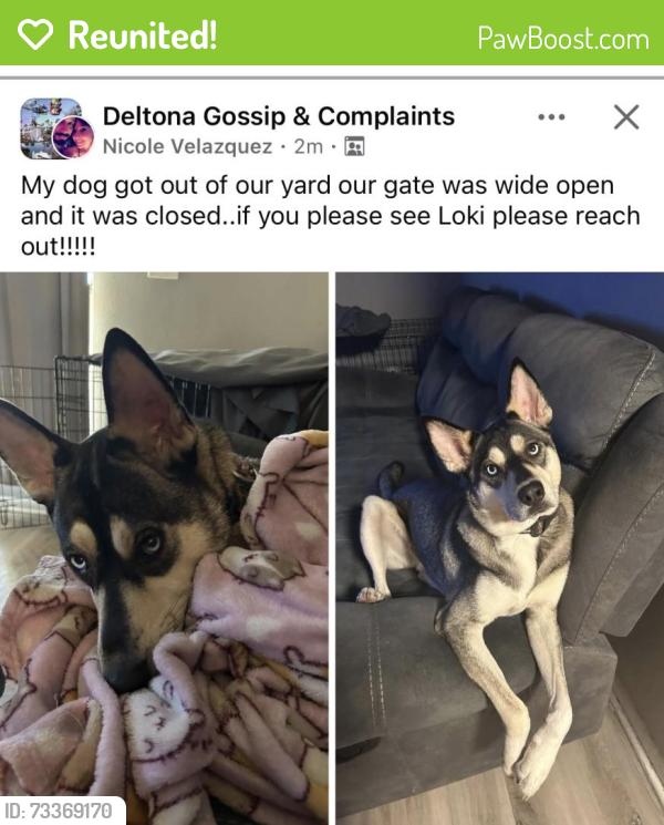 Reunited Male Dog last seen Normandy Blvd, Deltona, FL 32725