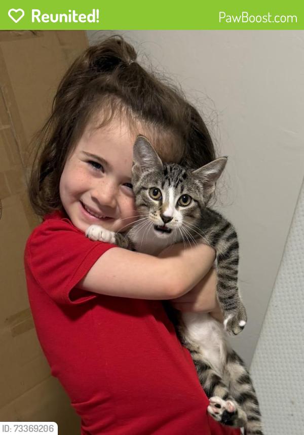 Reunited Male Cat last seen 63rd and May, Oklahoma City, OK 73116