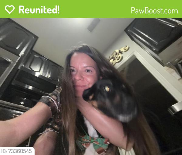 Reunited Male Dog last seen Deer Creek and Crowley rd, Crowley, TX 76036