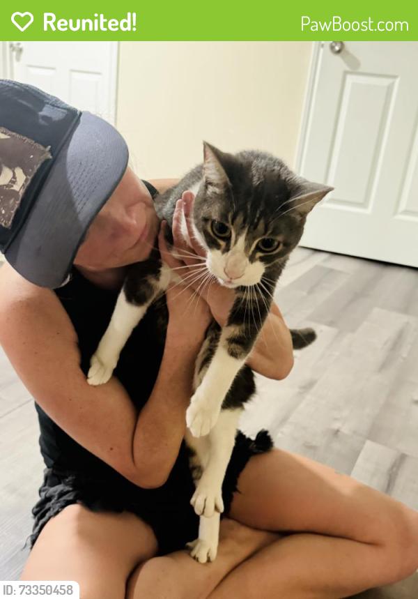 Reunited Male Cat last seen 16th street texas city, texas 77590, Texas City, TX 77590
