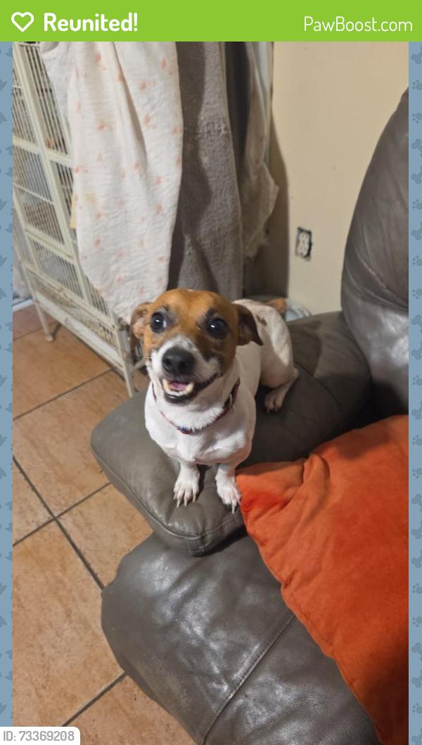 Reunited Male Dog last seen 5th st Sarasota FL in east Park, Sarasota, FL 34236