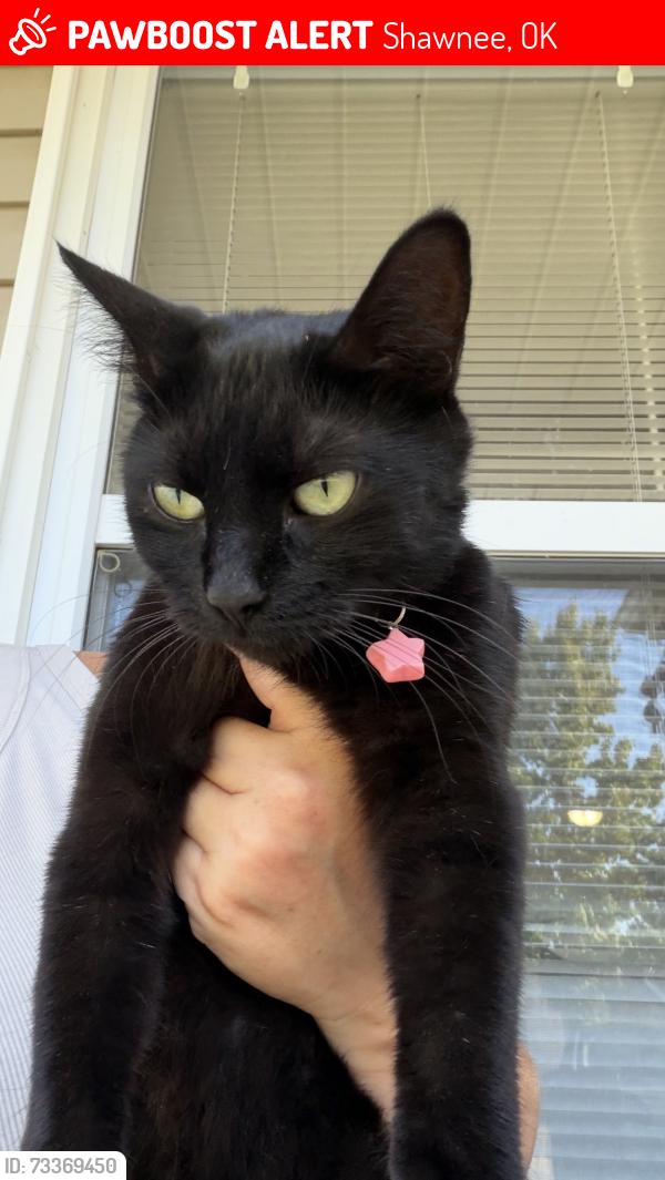 Lost Female Cat last seen East Franklin street and Union, Shawnee, OK 74804