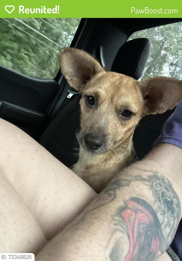 Reunited Female Dog last seen 3083/ Wigginsville dr, Conroe, TX 77302