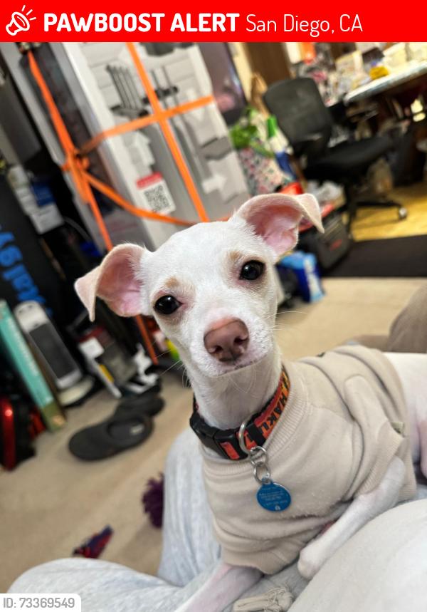 Lost Female Dog last seen Near Valencia Parkway, San Diego, CA 92114, San Diego, CA 92114