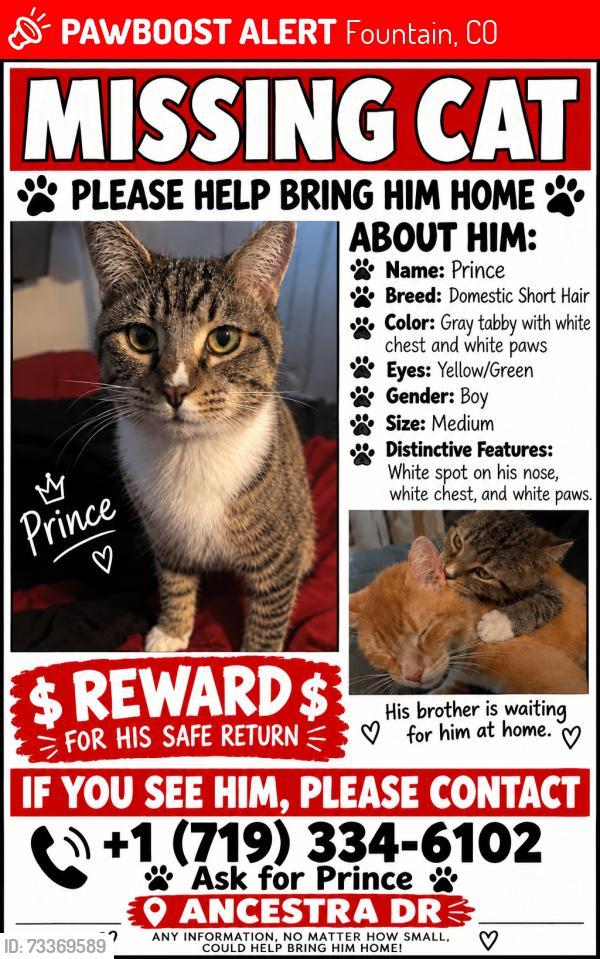 Lost Male Cat last seen Legend oak, Fountain, CO 80817