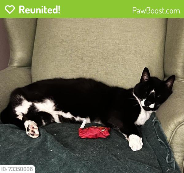 Reunited Male Cat last seen Bradshaw Equestrian Center, Mooresville, NC 28115