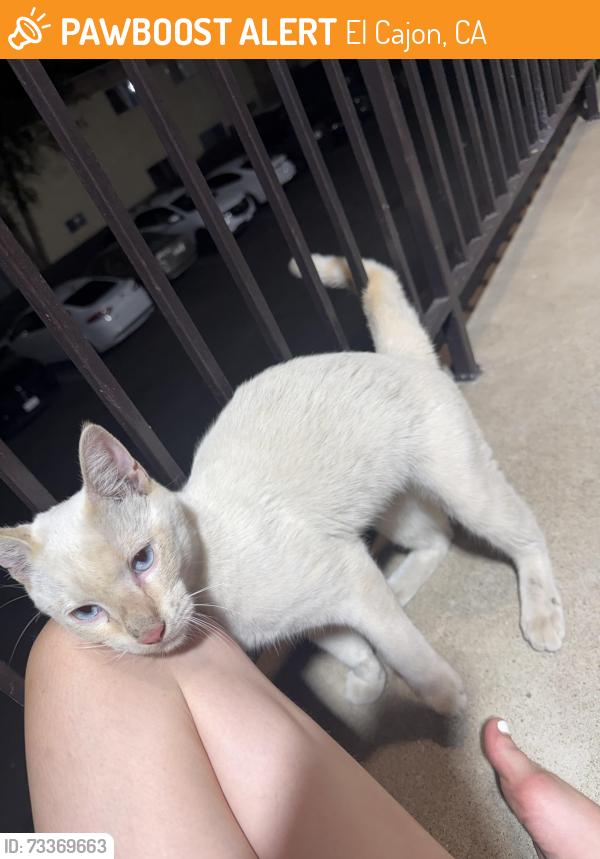 Found/Stray Male Cat last seen Mollison and peach ave, El Cajon, CA 92021