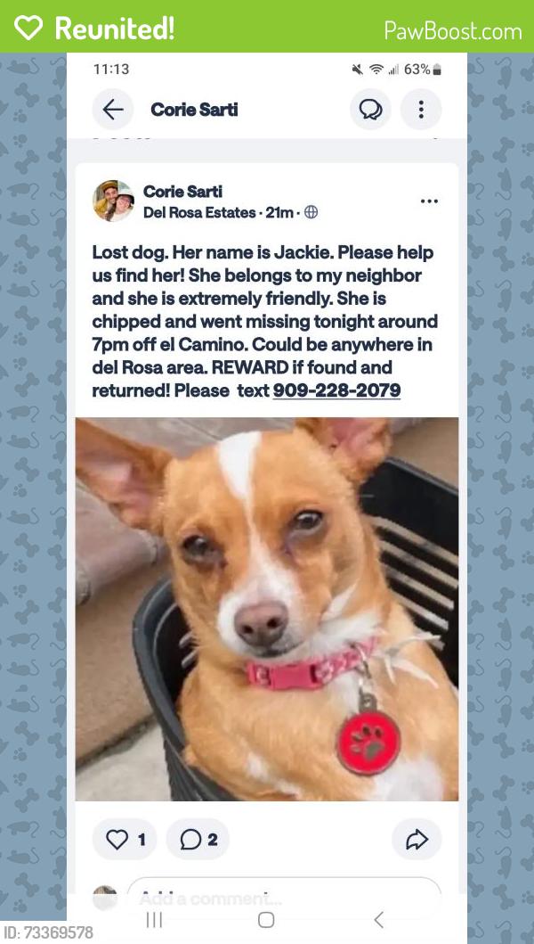 Reunited Female Dog last seen El Camino dr, San Bernardino, CA 92404