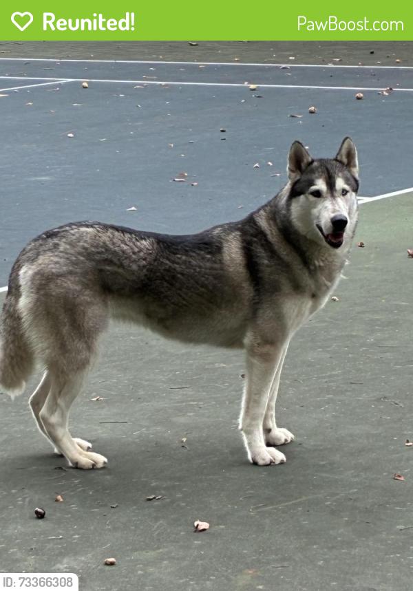 Reunited Female Dog last seen Dunham Park, Chicago, IL 60630