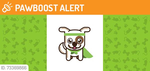 Found/Stray Female Dog last seen Allred Rd. Lexington, NC, Davidson County, NC 27292