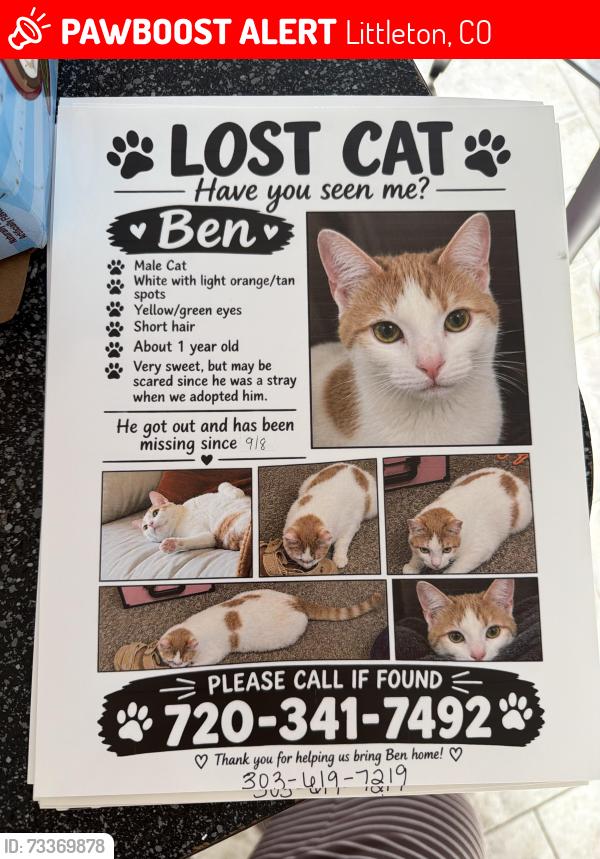 Lost Male Cat last seen W Geddes ave and s independence st, Littleton, CO 80123