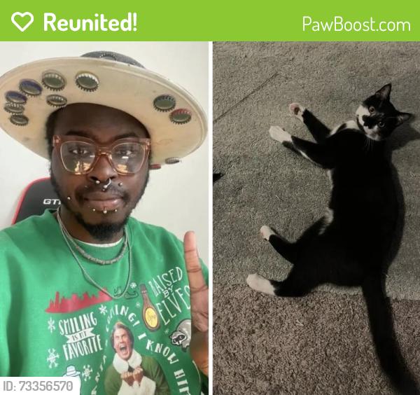 Reunited Male Cat last seen Kanuga and Temon, Hendersonville, NC 28739