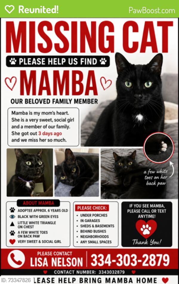 Reunited Female Cat last seen Lowell Woods Community, Lowell, NC 28098