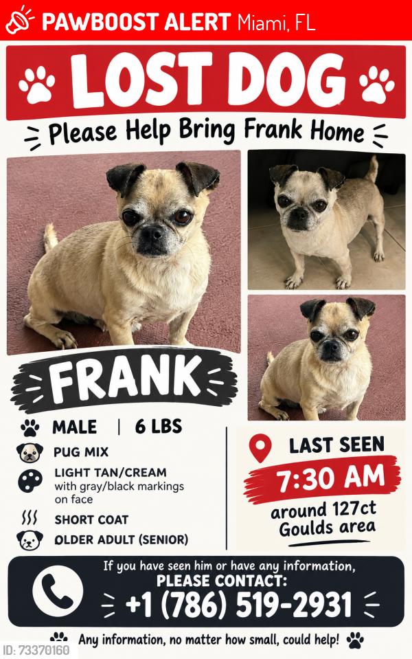 Lost Male Dog last seen Cauley Square, Miami, FL 33170