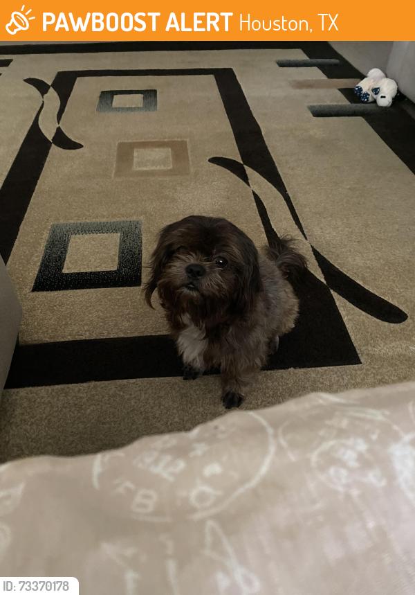 Found/Stray Male Dog last seen W.westwood cir, Houston, TX 77071