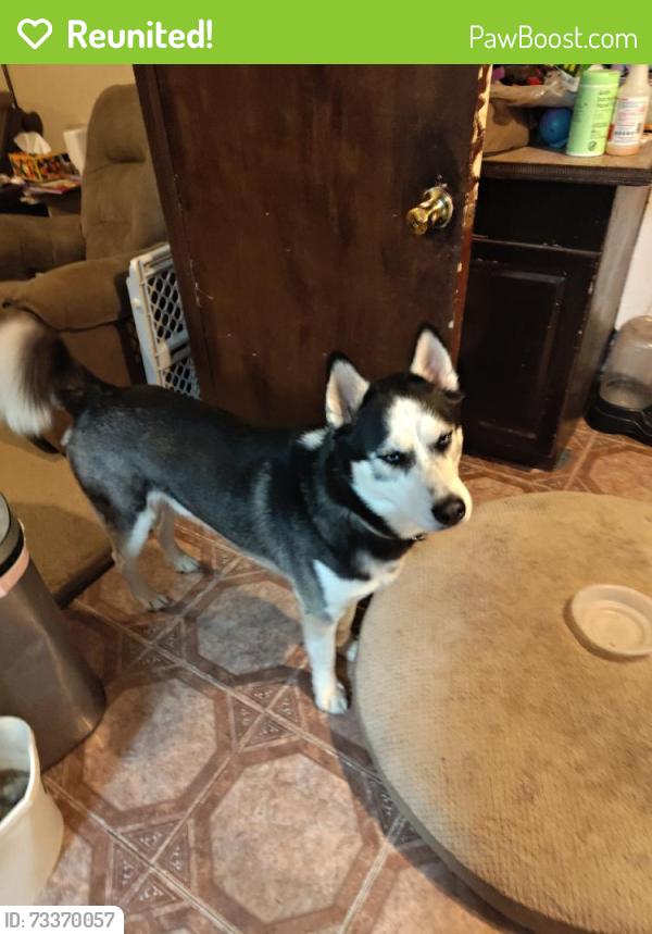 Reunited Male Dog last seen Near Farmington Blvd, Germantown, TN 38138, USA, Germantown, TN 38138