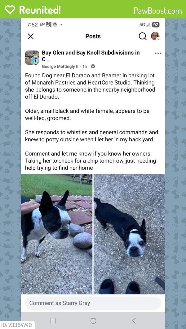 Reunited Female Dog last seen Beamer and el dorado, Houston, TX 77546