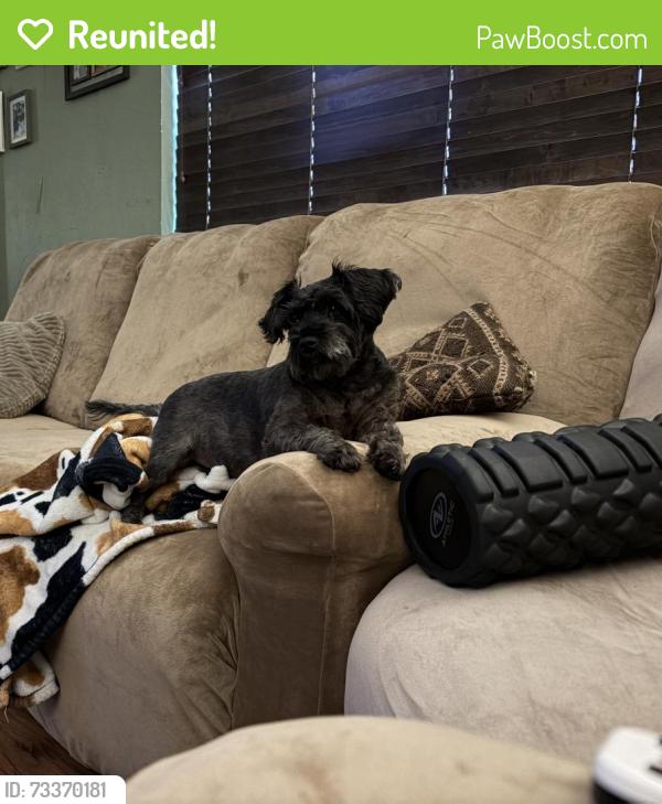 Reunited Female Dog last seen NE Craig St, Burleson, TX 76028, USA, Burleson, TX 76028