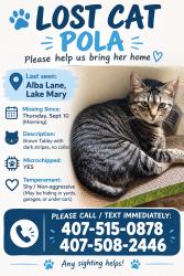 Lost Female Cat last seen Behind Greenwood Lakes Middle School, Lake Mary, FL 32746